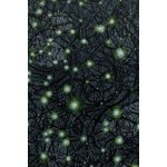 Adrianna Aszurkiewicz (b. 1994, Lubin), Dark Matter, 2023