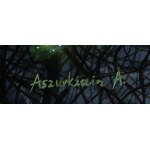 Adrianna Aszurkiewicz (b. 1994, Lubin), Dark Matter, 2023