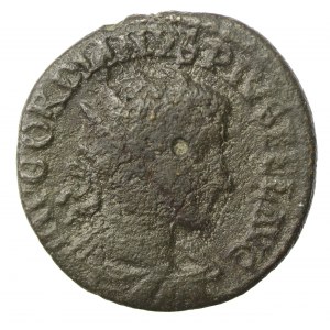 Rzym Prowincjonalny, Mezja Górna, Viminacium, Gordian III (238-244 n.e.), brąz (115)