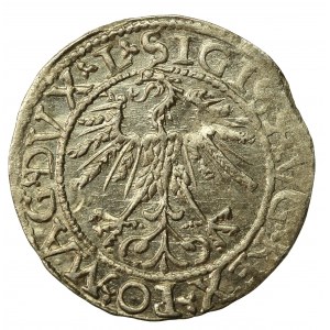 Zygmunt II August, Półgrosz 1562, Wilno - 17 Pogoń (723)