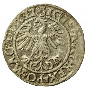 Zygmunt II August, Półgrosz 1560, Wilno - LI/LITV (730)