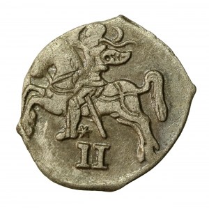Zygmunt II August, dwudenar 1569, Wilno (756)