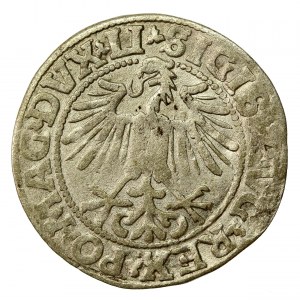 Zikmund II August, půlgroše 1549, Vilnius - LI/LITVA (775)