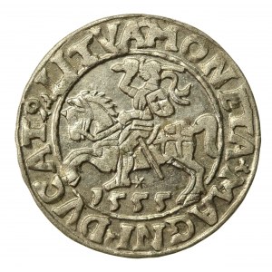 Zygmunt II August, Półgrosz 1555 Wilno, LI/LITVA. Bardzo ładny (663)