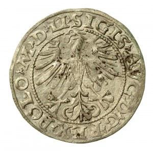 Zygmunt II August, Półgrosz 1563, Wilno - 20 Pogoń, Topór, M D LI/LITVA (665)