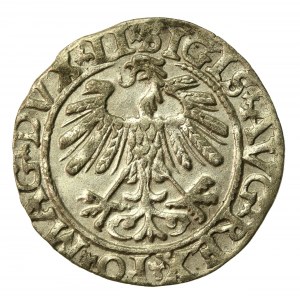 Zikmund II August, půlgroše 1558, Vilnius - LI/LITVA (670)