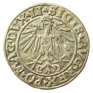 Sigismond II Auguste, demi-penny 1550, Vilnius, LI/LITVA (673)