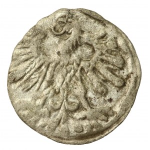 Zikmund II Augustus, denáreček 1559, Vilnius (862)