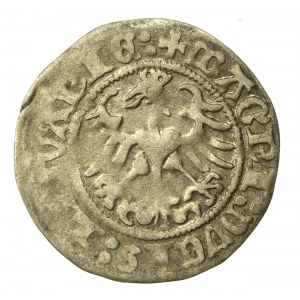 Zygmunt I Stary, Półgrosz 1513, Wilno - pełna data (876)