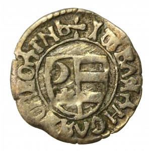 Wallachian Hospodardom, Vladislav II, ducati (half-penny), no date. (884)