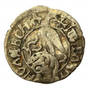 Wallachian Hospodardom, Vladislav II, ducati (half-penny), no date. (884)