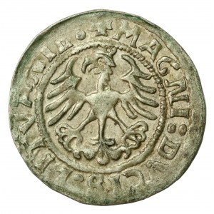 Zygmunt I Stary, Półgrosz 1521, Wilno (896)