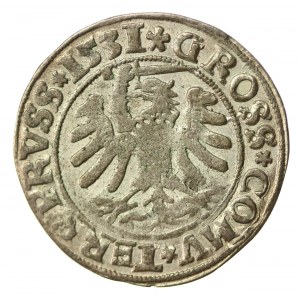 Zygmunt I Stary, Grosz 1531, Toruń. Prus/Pruss (613)