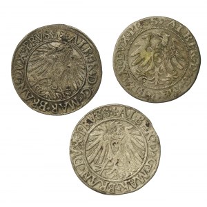 Knížecí Prusko, Albrecht Hohenzollern, sada grošů, Königsberg. Celkem 3 kusy (933)