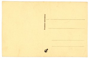 Hajduki - View of the management of the Batory steelworks and the surrounding area (75)