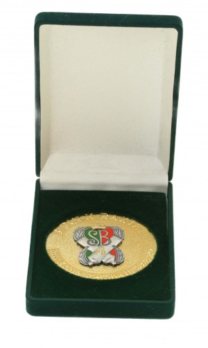 Commemorative medal of the 3rd King Stefan Batory Rocket Regiment in a decorative box(241)