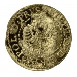 Stefan Batory, szeląg 1579, Gdańsk (445)