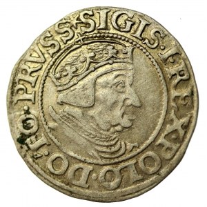 Sigismond Ier le Vieux, Grosz 1538, Gdansk (519)