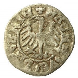 Aleksander Jagiellończyk, Półgrosz Wilno - renesans - IX emisja - ALEXAND - rzadszy (527)