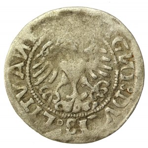 Zygmunt I Stary, Półgrosz 1518, Wilno - gotyk/renesans. Rzadkie (528)