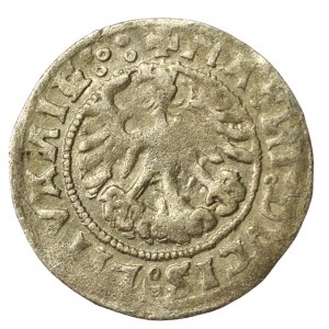 Sigismund I. der Alte, Halber Pfennig 1519, Vilnius. Rückseite 5 Punkte (531)
