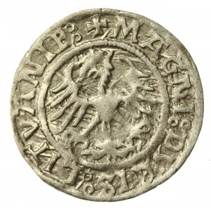 Sigismund I the Old, Half-penny 1521, Vilnius (535)