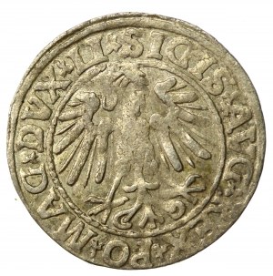 Sigismond II Auguste, demi-penny 1547, Vilnius - LI/LITVA (537)