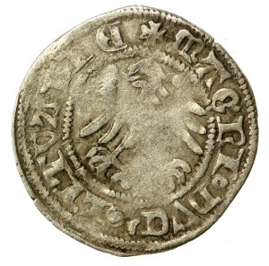Alexander Jagiellonian, half-penny, Vilnius-Gothic (539)