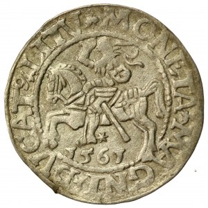 Sigismund II Augustus, Half-penny 1561, Vilnius - L/LITVA (550)