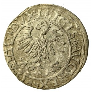 Sigismund II Augustus, Half-penny 1561, Vilnius - L/LITVA (550)