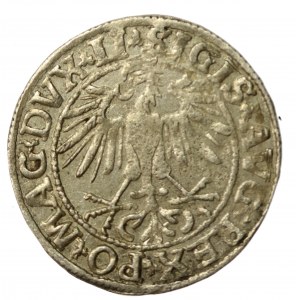 Sigismund II Augustus, Half-penny 1550, Vilnius, LI / LITVA (552)