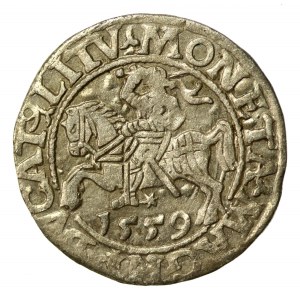 Sigismondo II Augusto, mezzo penny 1559, Vilnius - L/LITV (554)