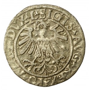 Sigismondo II Augusto, mezzo penny 1559, Vilnius - L/LITV (554)