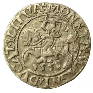 Sigismund II Augustus, Half-penny 1558, Vilnius - L/LITVA (556)