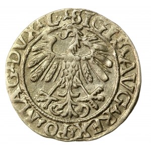 Sigismund II Augustus, Half-penny 1558, Vilnius - L/LITVA (556)