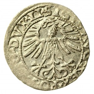 Zygmunt II August, Półgrosz 1563, Wilno - LI/LITV. Mała Pogoń (557)