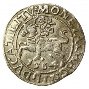 Zygmunt II August, Półgrosz 1564, Wilno - L/LITVA (558)
