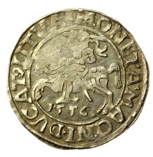 Sigismund II Augustus, Half-penny 1556 Vilnius, L/LITVA (565)