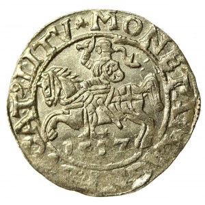 Sigismund II Augustus, Half-penny 1557, Vilnius. LI/LITV (566)