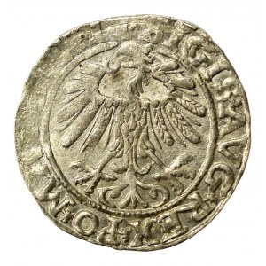 Sigismund II Augustus, Half-penny 1557, Vilnius. LI/LITV (566)