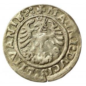 Sigismund I the Old, Half-penny 1519, Vilnius. Reverse 5 dots (568)