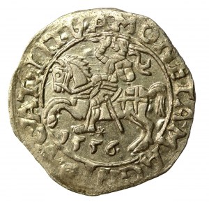 Sigismund II Augustus, Half-penny 1556 Vilnius, LI/LITVA (571)
