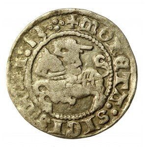 Sigismund I the Old, Half-penny 1513, Vilnius - quatrefoil on av. and rev. Rare (575)