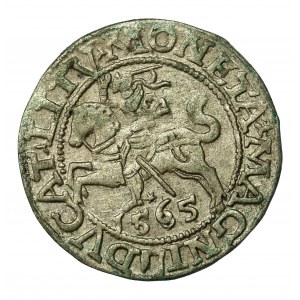 Zygmunt II August, Półgrosz 1565, Wilno. R. 1655 przestawienie cyfr daty (803)