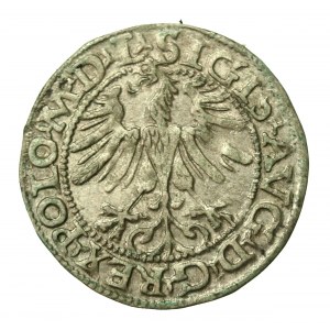 Zygmunt II August, Półgrosz 1565, Wilno. R. 1655 przestawienie cyfr daty (803)