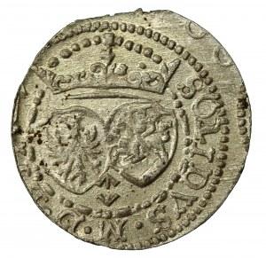 Sigismund III Vasa, 1617 Shellac, Vilnius (815)