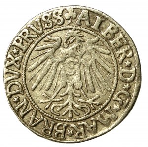 Ducal Prussia, Albrecht Hohenzollern, 1541 grosz, Königsberg (826)