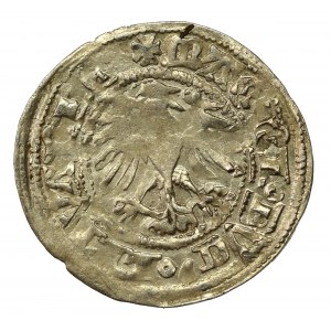 Aleksander Jagiellończyk, półgrosz, Wilno - gotyk. Menniczy (836)
