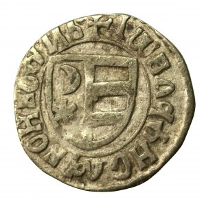 Hospodarstwo Wołoskie, Władysław II, ducati (półgrosz), bez daty (851)
