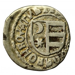 Władysław II, Hospodarstwo Wołoskie, ducati (półgrosz), bez daty(852)